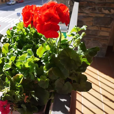 Apartamento Inter Esquí Canillo
